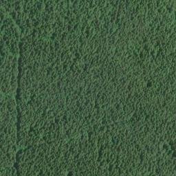 Satellite imagery of Stanley Peninsula, US
