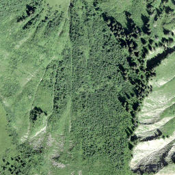 Satellite imagery of Planachaux, CH