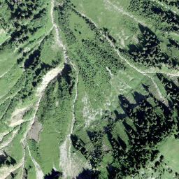 Satellite imagery of Planachaux, CH
