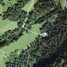 Satellite imagery of Muttehubel, CH