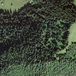 Satellite imagery of Muttehubel, CH