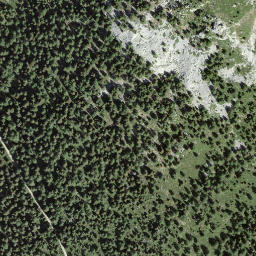 Satellite imagery of Pizzo Caslett, CH