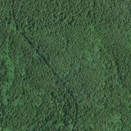 Satellite imagery of Stanley Peninsula, US