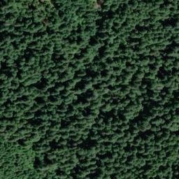 Satellite imagery of Kraus Ridge, US