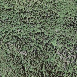 Satellite imagery of Pointe de Fin Château, CH