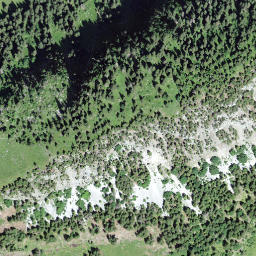 Satellite imagery of Muttehubel, CH