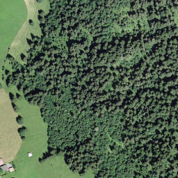 Satellite imagery of Brüeschenegg, CH