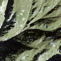 Satellite imagery of Schafberg, CH