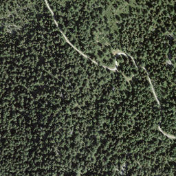 Satellite imagery of Pizzo Caslett, CH