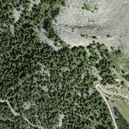 Satellite imagery of Pizzo Caslett, CH