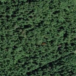 Satellite imagery of Kraus Ridge, US