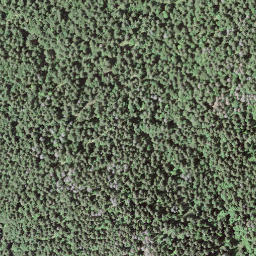Satellite imagery of Pointe de Fin Château, CH