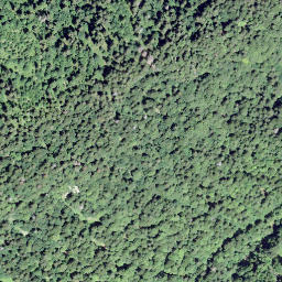 Satellite imagery of Jayet, Pas de, CH