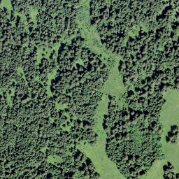 Satellite imagery of Monts Chevreuils, CH