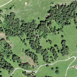 Satellite imagery of Muttehubel, CH