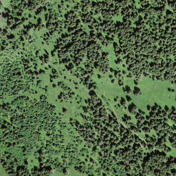 Satellite imagery of Brüeschegrat, CH