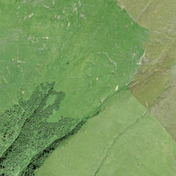 Satellite imagery of Louwenehore, CH