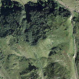 Satellite imagery of Dischlighorn, CH