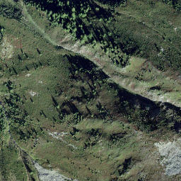 Satellite imagery of Mannlibode, CH