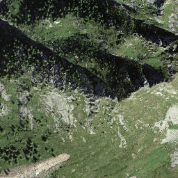 Satellite imagery of Pizzo del Piatto di Röd, CH