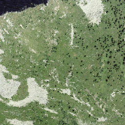 Satellite imagery of Motte Alte, CH