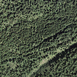 Satellite imagery of Motte Albei, CH