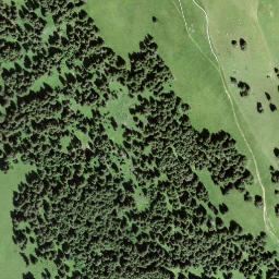 Satellite imagery of Höhi Wispile, CH