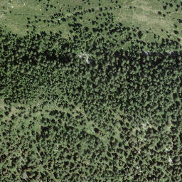 Satellite imagery of Motte Alte, CH
