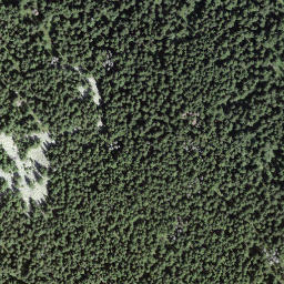 Satellite imagery of Motte Albei, CH