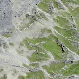 Satellite imagery of Tscheischhorn, CH