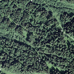 Satellite imagery of Les Dentaux, CH
