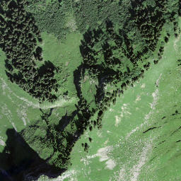 Satellite imagery of Staldenflüe, CH