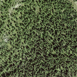 Satellite imagery of Liwends Horn, CH