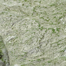 Satellite imagery of Pulpito, CH