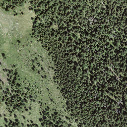 Satellite imagery of Motte Alte, CH