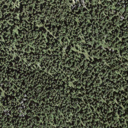 Satellite imagery of Motte Albei, CH