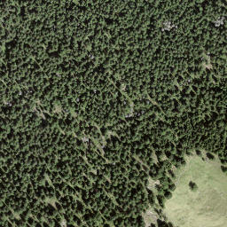 Satellite imagery of Motte Albei, CH