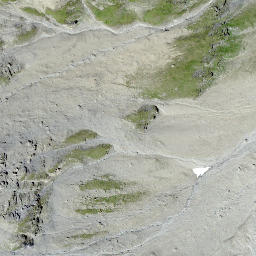 Satellite imagery of Tscheischhorn, CH