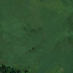 Satellite imagery of MD 0599, UA