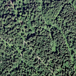Satellite imagery of Les Dentaux, CH