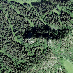 Satellite imagery of Les Dentaux, CH