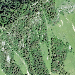 Satellite imagery of Les Dentaux, CH