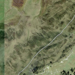 Satellite imagery of Leiterli, CH