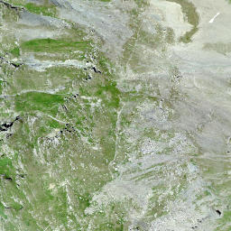 Satellite imagery of Forcellina, CH