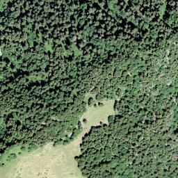 Satellite imagery of Les Dentaux, CH