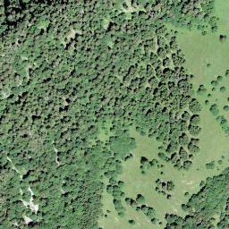 Satellite imagery of Les Dentaux, CH
