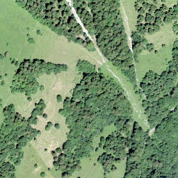 Satellite imagery of Les Dentaux, CH