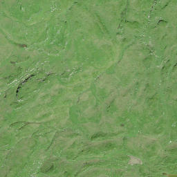 Satellite imagery of Gross Stand, CH