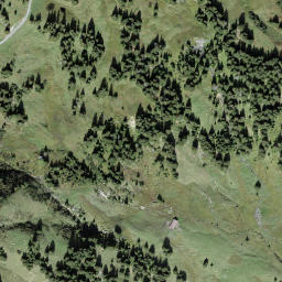 Satellite imagery of Leiterli, CH