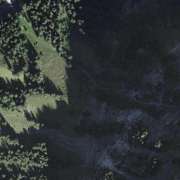 Satellite imagery of Flueschafberg, CH